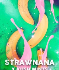 Strawnana Mints - 5-pack