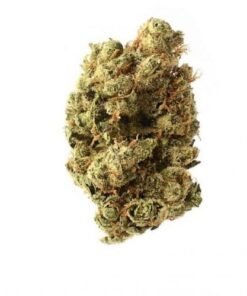 Super Silver Haze - 5PACK