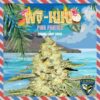 Wy-Kiki - 5-pack