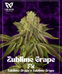 Zublime Grape F2 - 12-pack